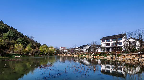 岳阳南湖龙山景区园林绿化景观 EPC 项目