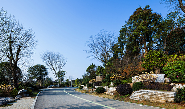 岳阳南湖龙山景区园林绿化景观 EPC 项目