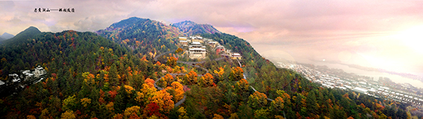 湘湖国家旅游度假区景观绿化提升工程方案设计