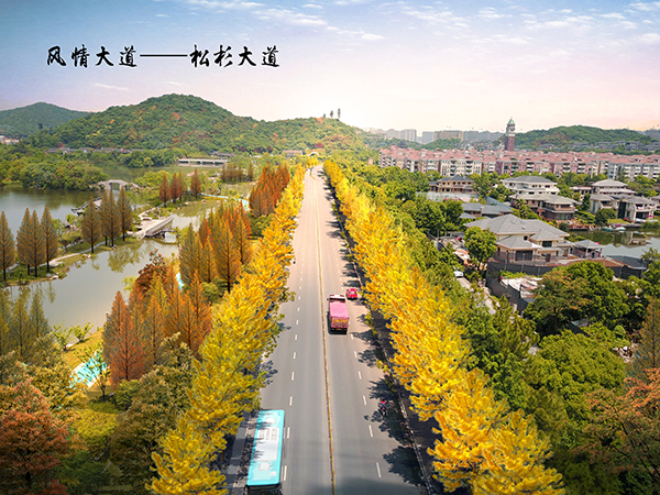 湘湖国家旅游度假区景观绿化提升工程方案设计