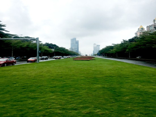 2018年福田区重要节点绿化景观提升项目1标段施工总承包工程
