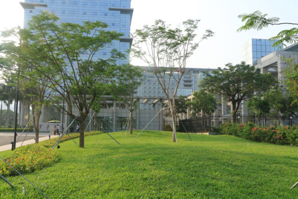 2018年福田区重要节点绿化景观提升项目1标段施工总承包工程