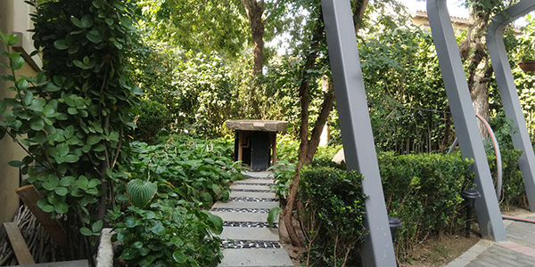 丰台逸园