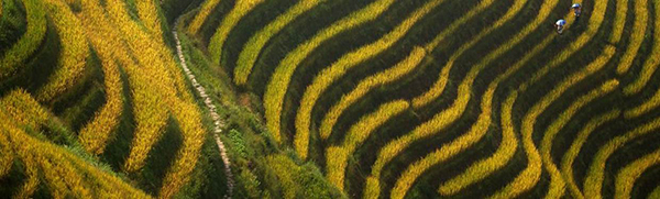 Banyan Tree Yangshuo Resort