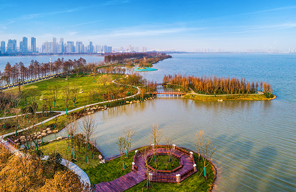 武汉环东湖绿道景观方案设计
