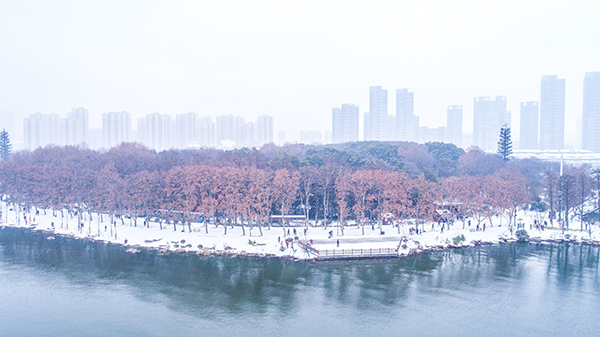 武汉环东湖绿道景观方案设计
