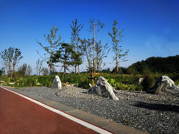 巢湖市烔长路及其连接线景观工程