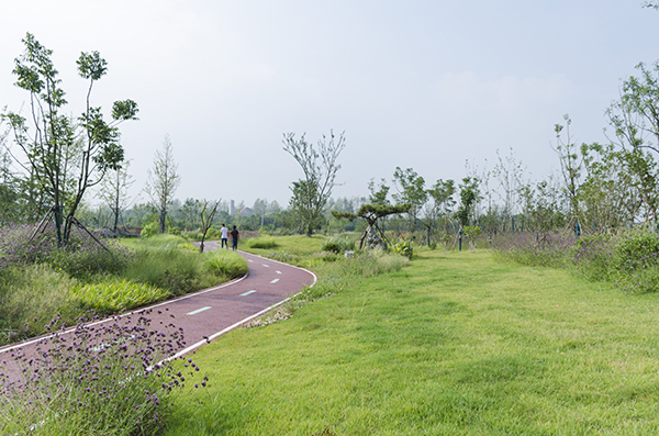 巢湖市烔长路及其连接线景观工程