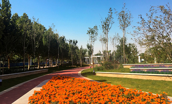 邢台市——”智慧园”公园景观设计