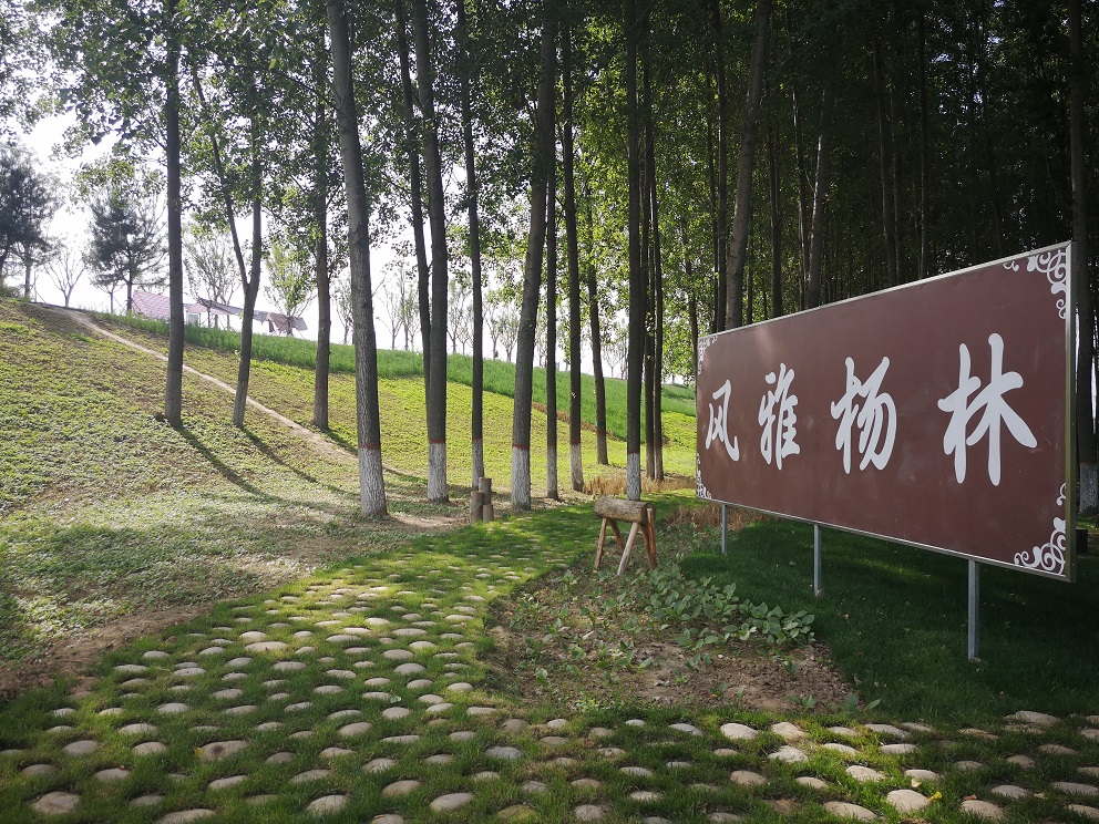 沣河综合治理二期西汉高速—G310国道景观设计
