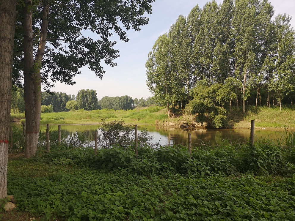 沣河综合治理二期西汉高速—G310国道景观设计
