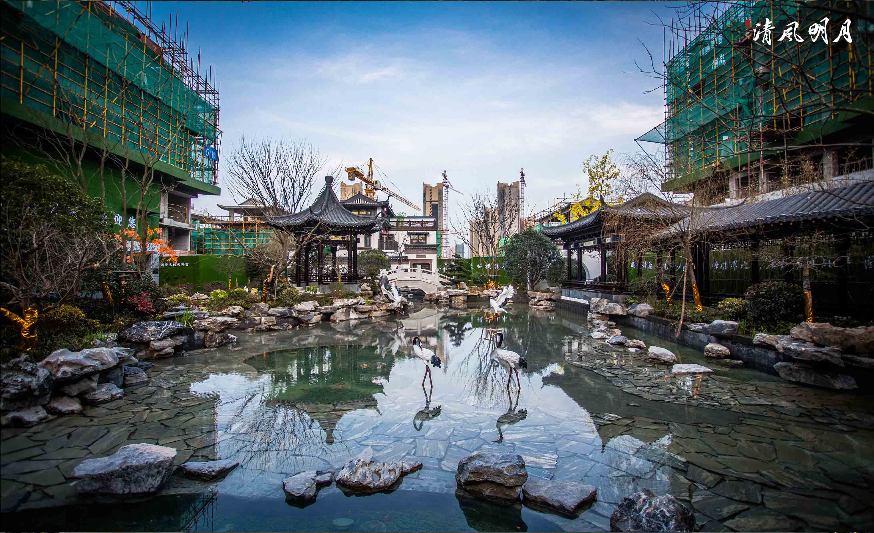 金鹏清风明月