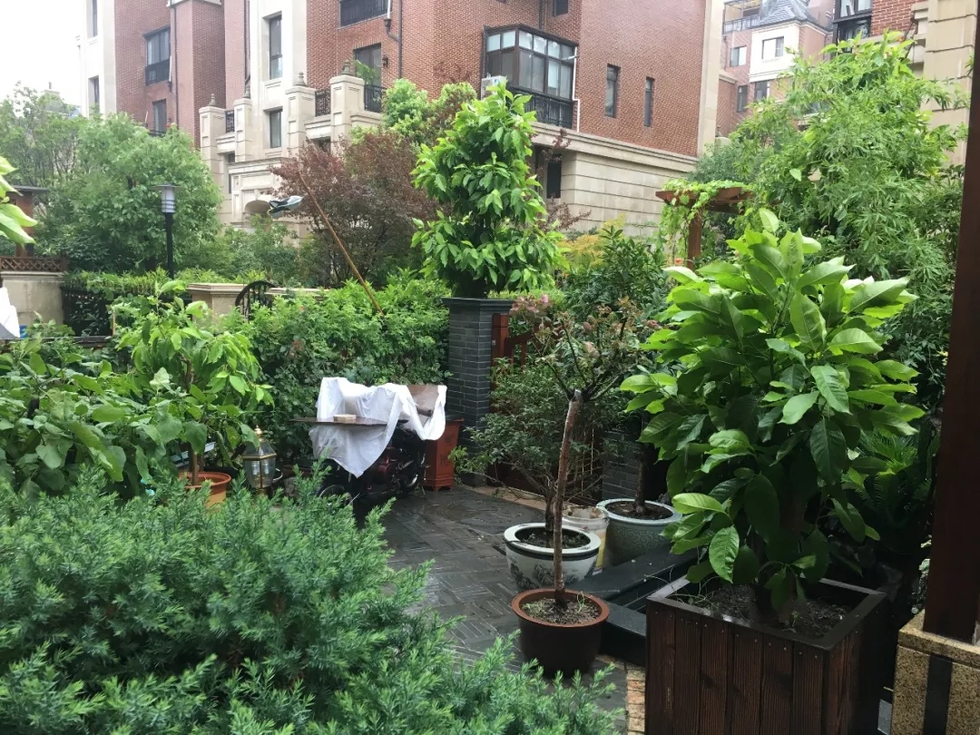 中建大公馆