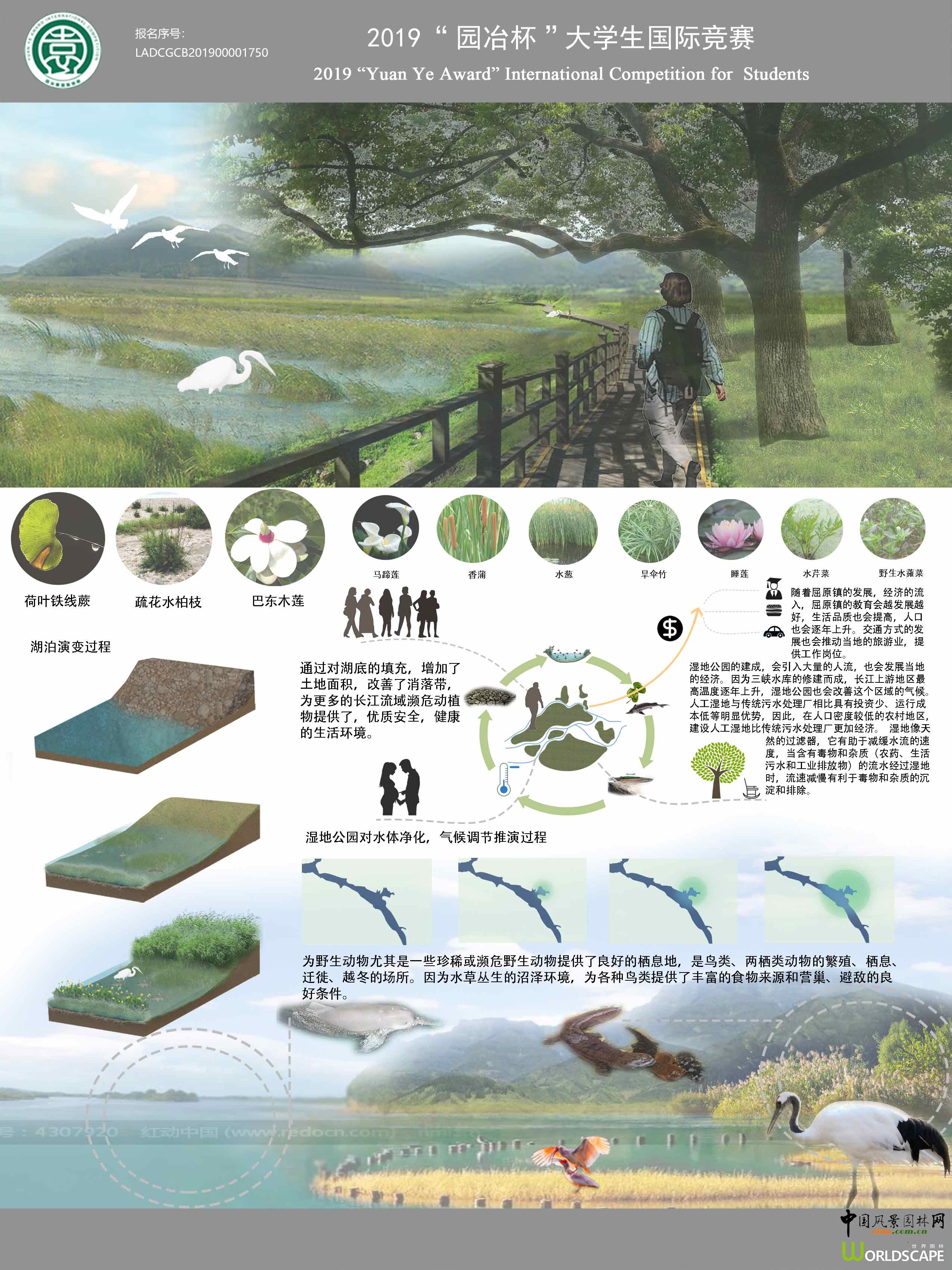 自然与人的共生-针对重庆三峡水库为例的生态修复设计