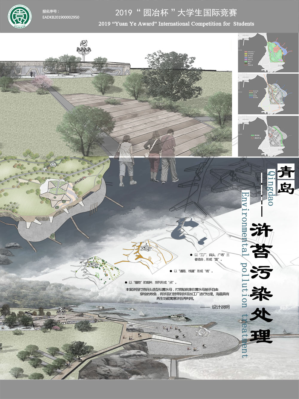 青岛浒苔污染处理
