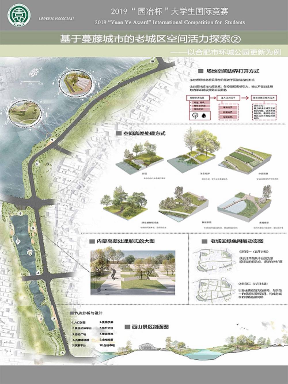 基于蔓藤城市的老城区空间活力探索——以合肥市环城公园更新为例