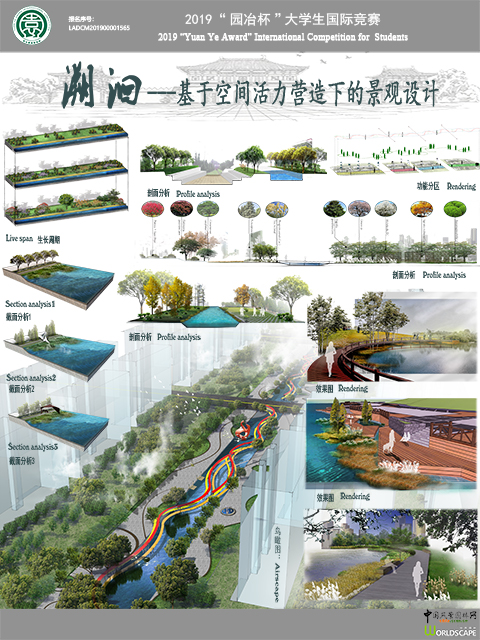 溯洄——基于空间活力营造下的景观设计