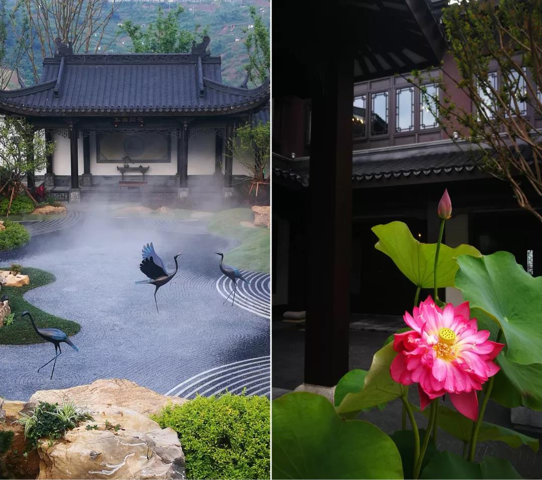 玖章芙蓉风华，敬献依山一城