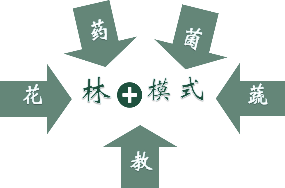 北京百万亩平原造林地块林下经济产业技术研究与示范项目