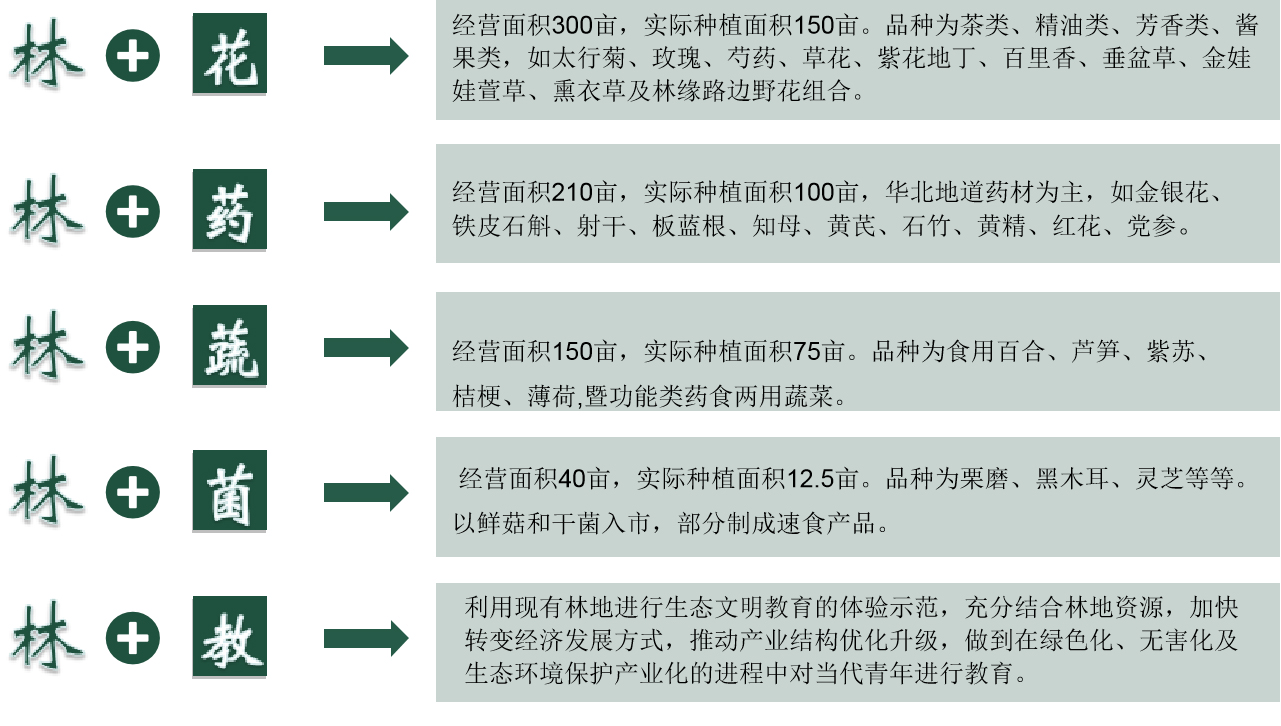 北京百万亩平原造林地块林下经济产业技术研究与示范项目