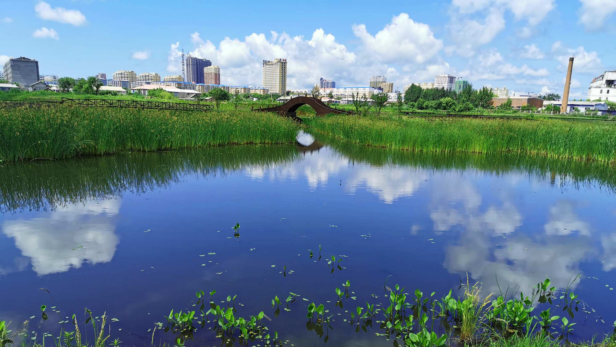 桦南幸福湿地公园景观设计