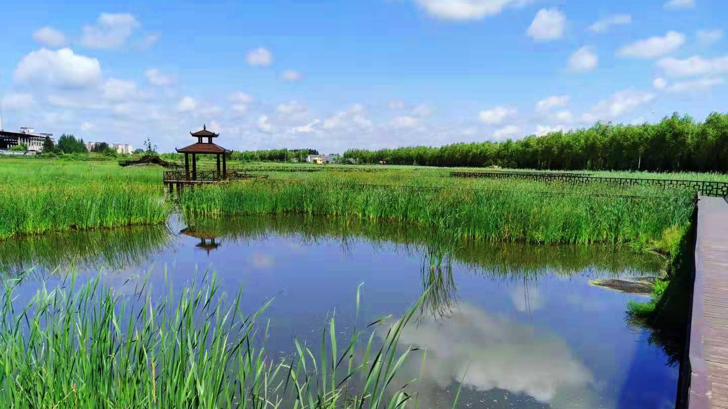 桦南幸福湿地公园景观设计