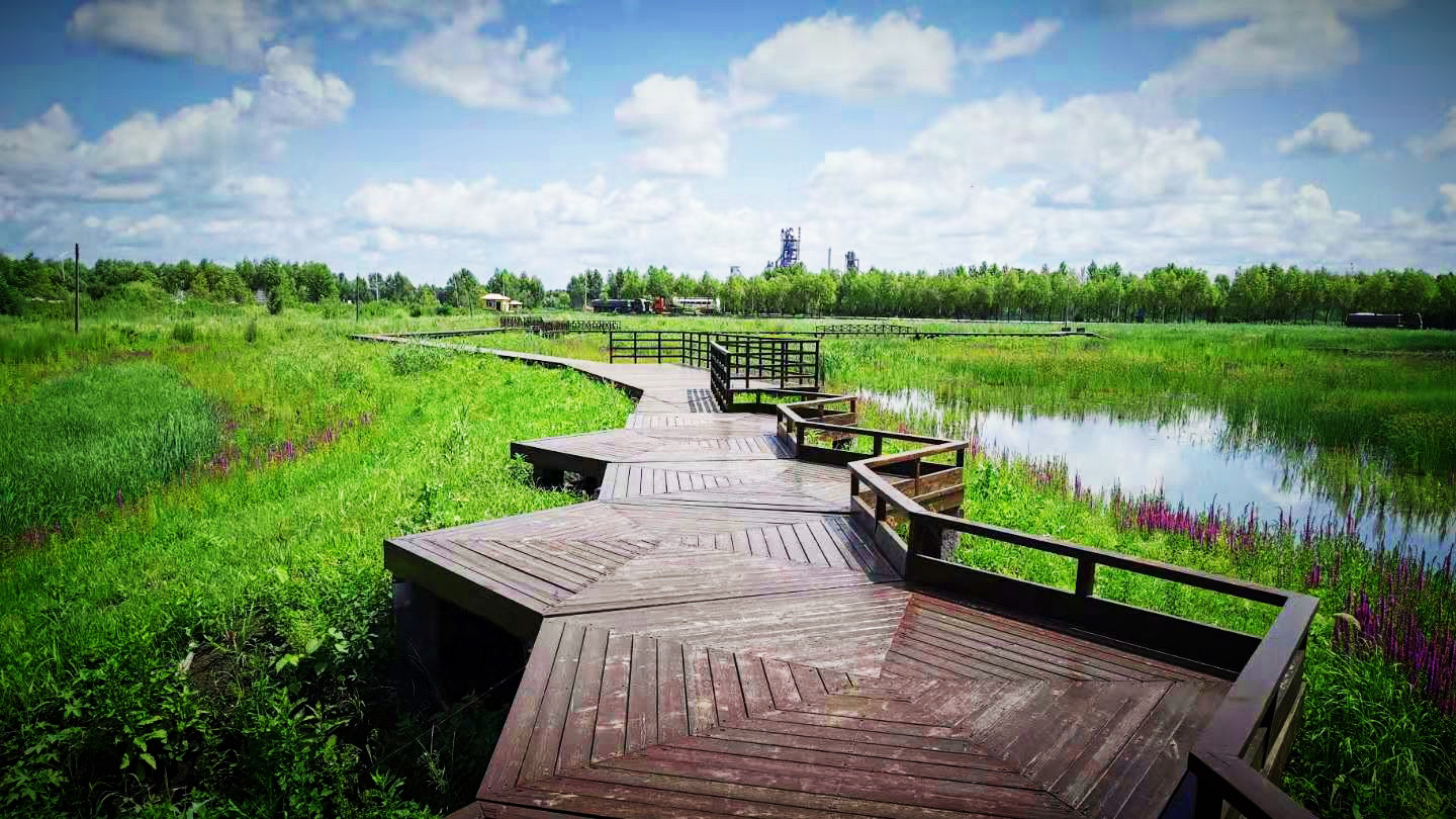 桦南幸福湿地公园景观设计