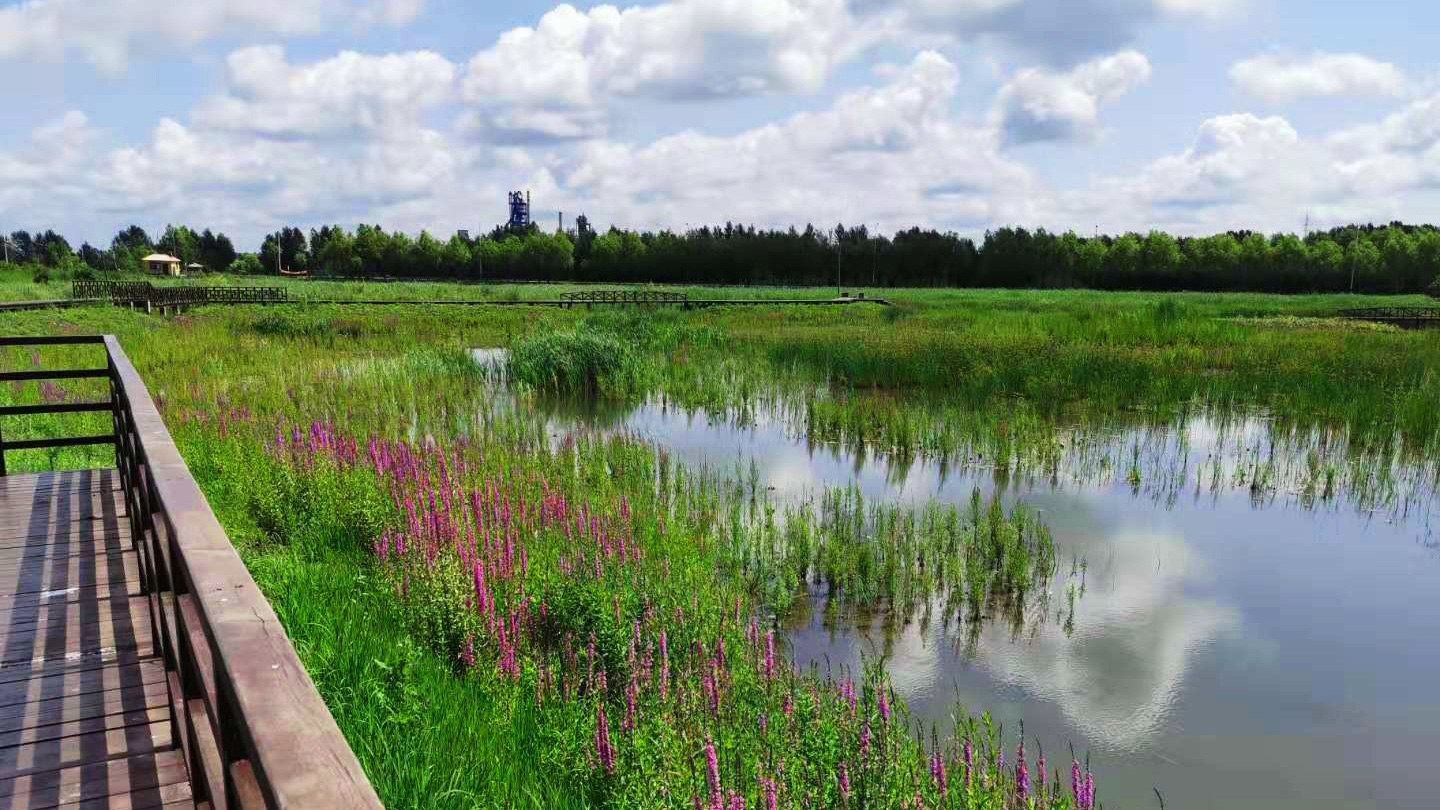 桦南幸福湿地公园景观设计