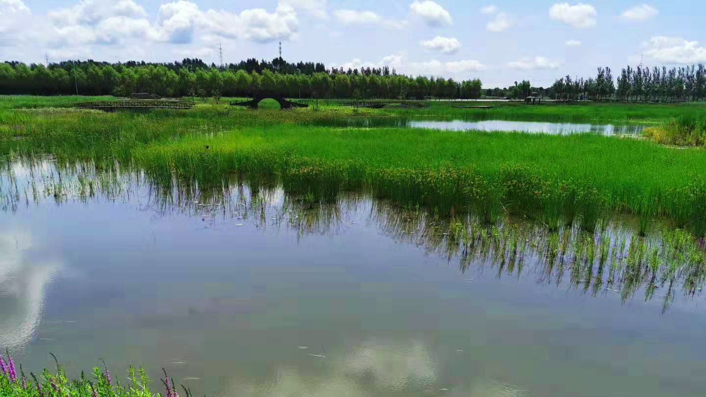 桦南幸福湿地公园景观设计