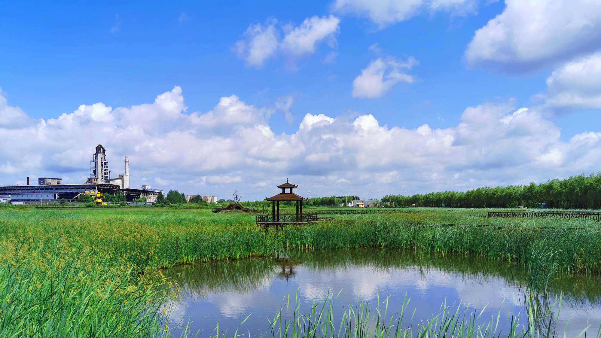 桦南幸福湿地公园景观设计
