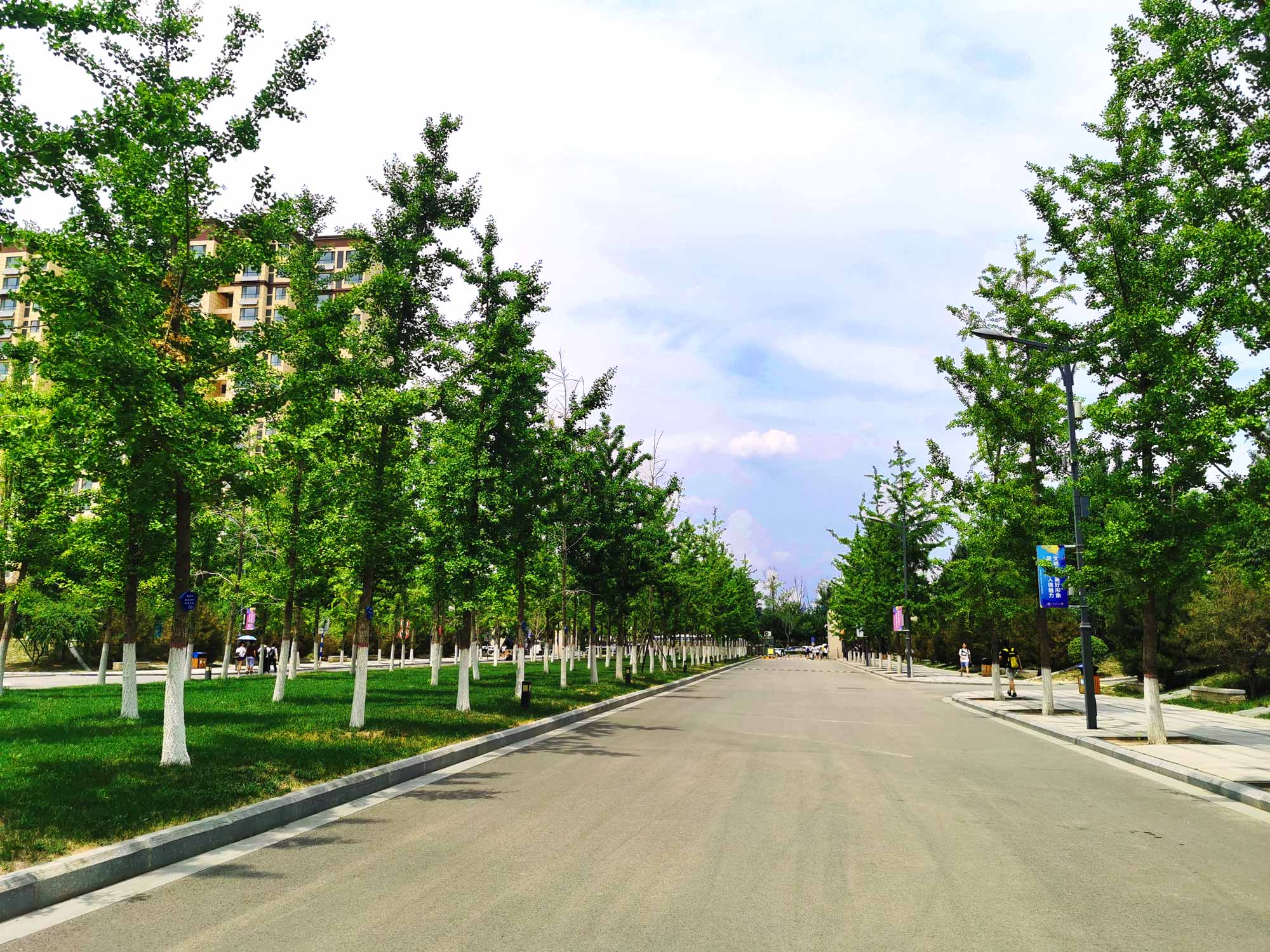 山西医科大学新校区景观设计