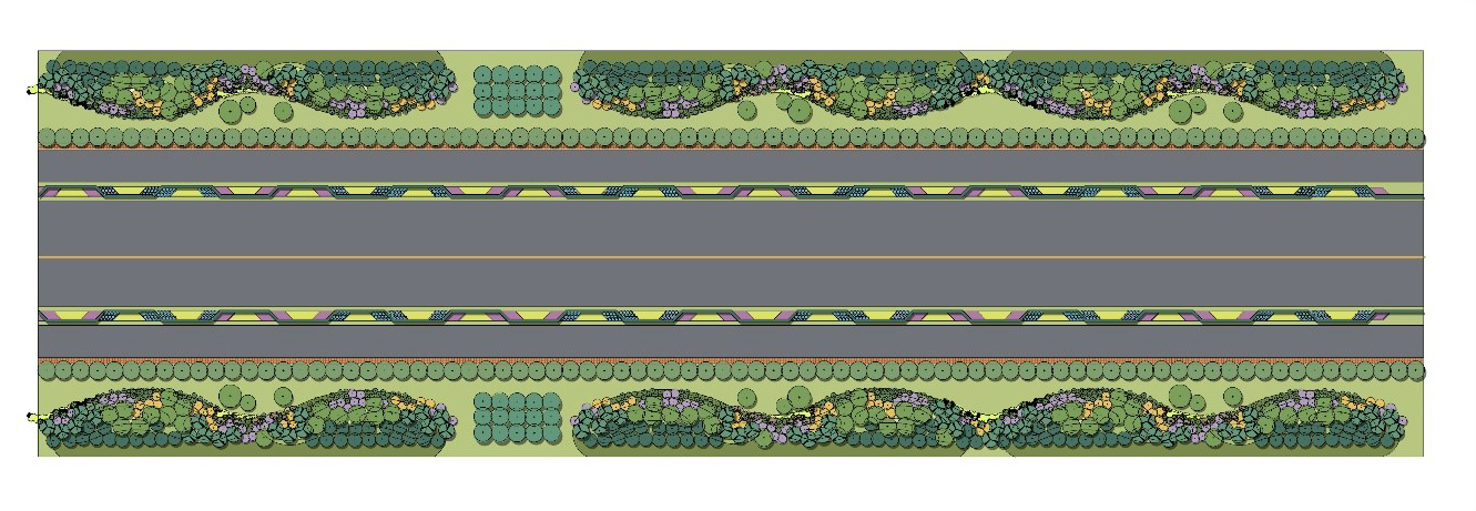 兴城市龙兴路绿化设计景观工程