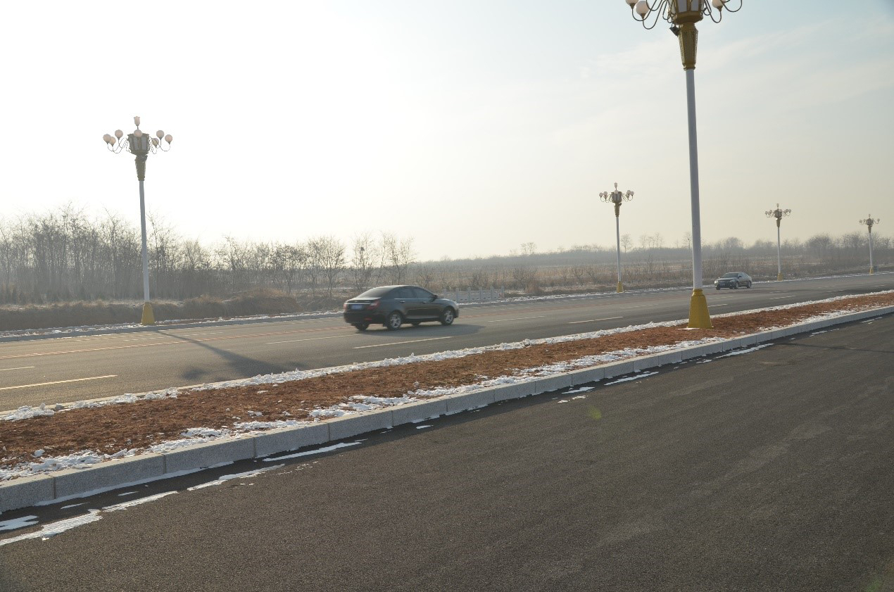 兴城市龙兴路绿化设计景观工程