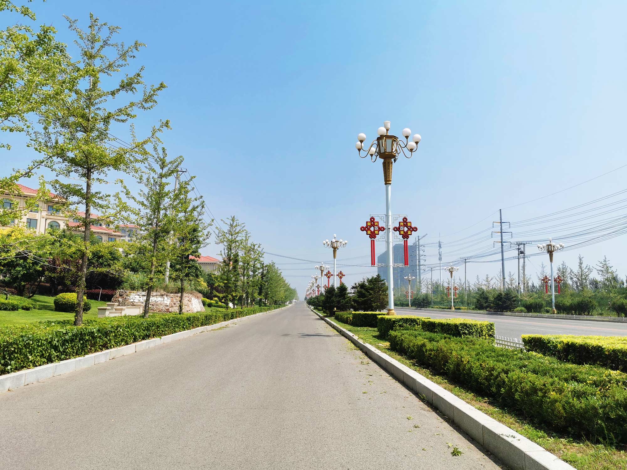兴城市龙兴路绿化设计景观工程