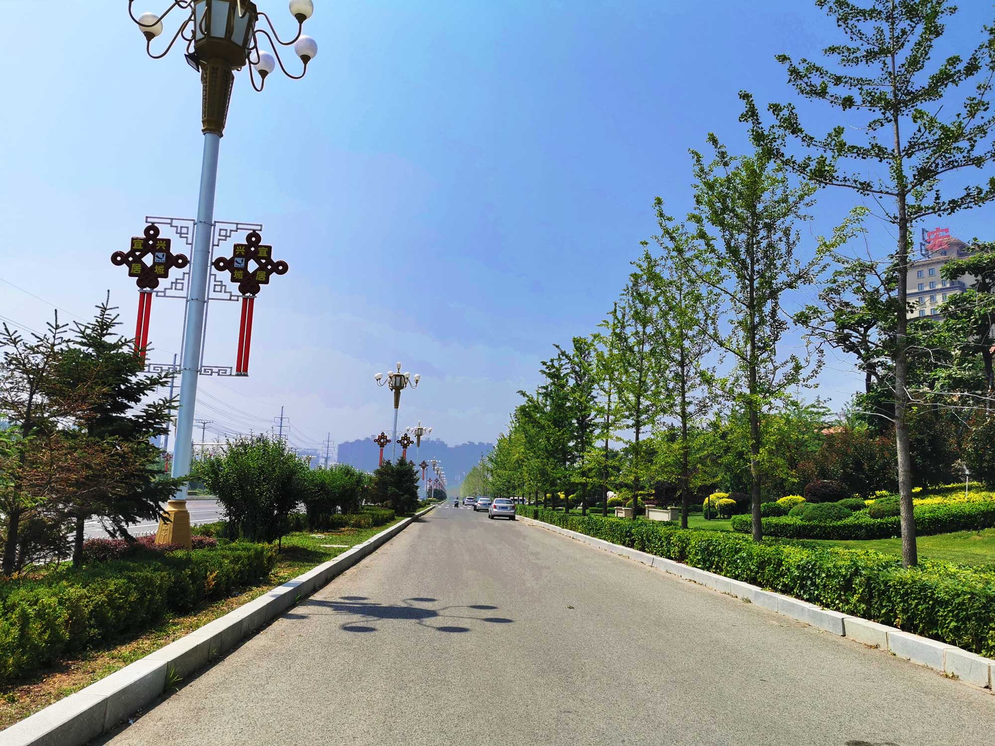 兴城市龙兴路绿化设计景观工程