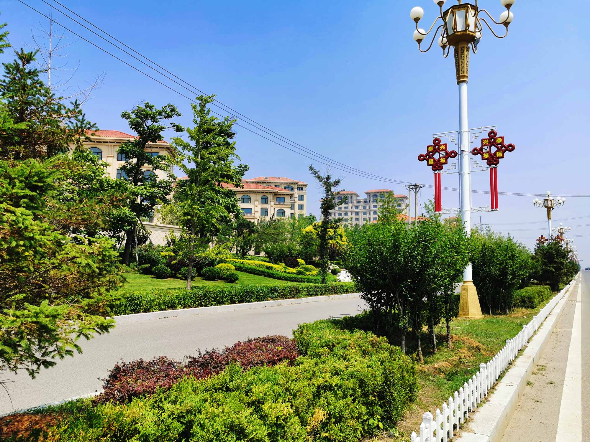 兴城市龙兴路绿化设计景观工程