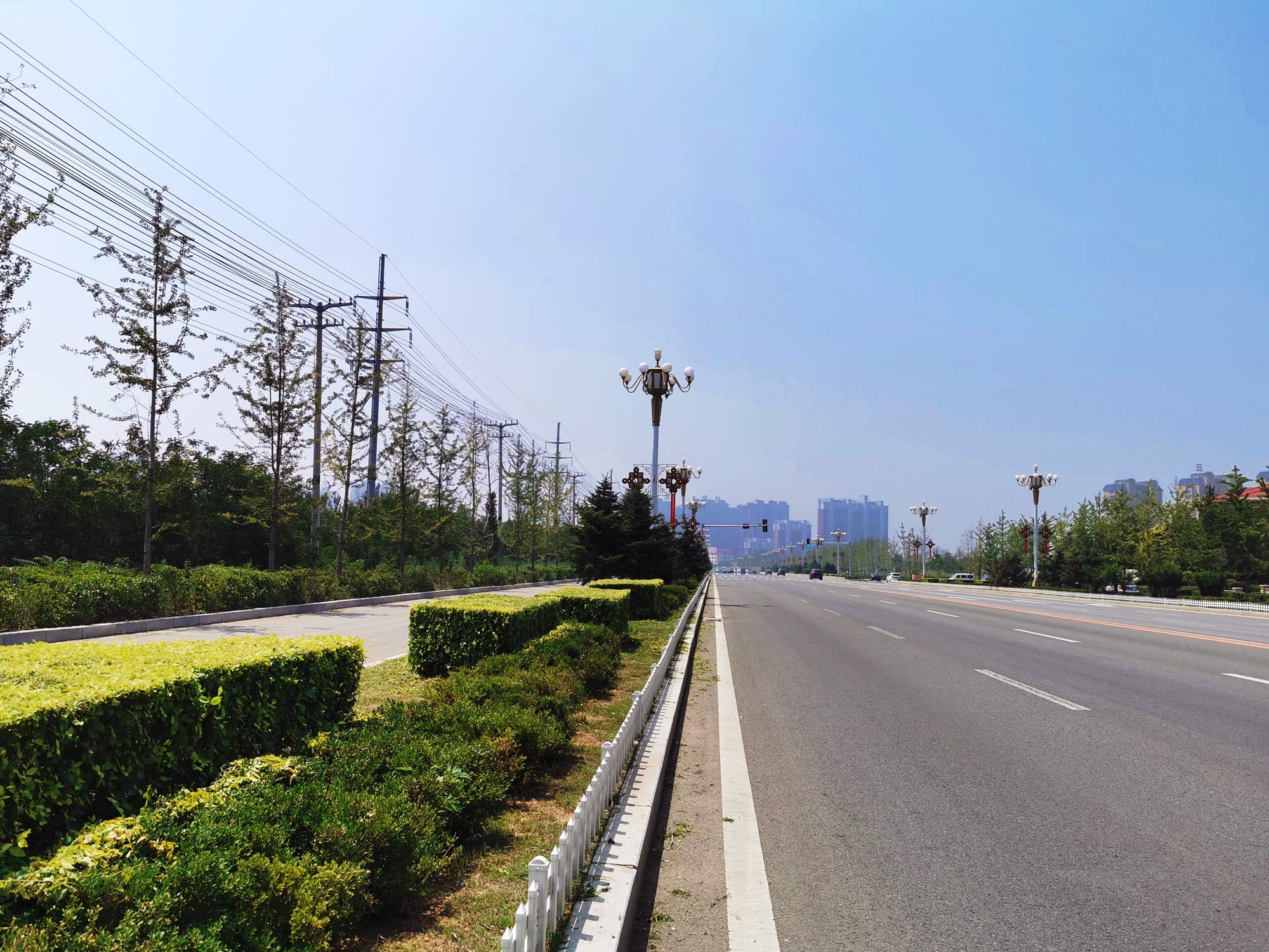 兴城市龙兴路绿化设计景观工程