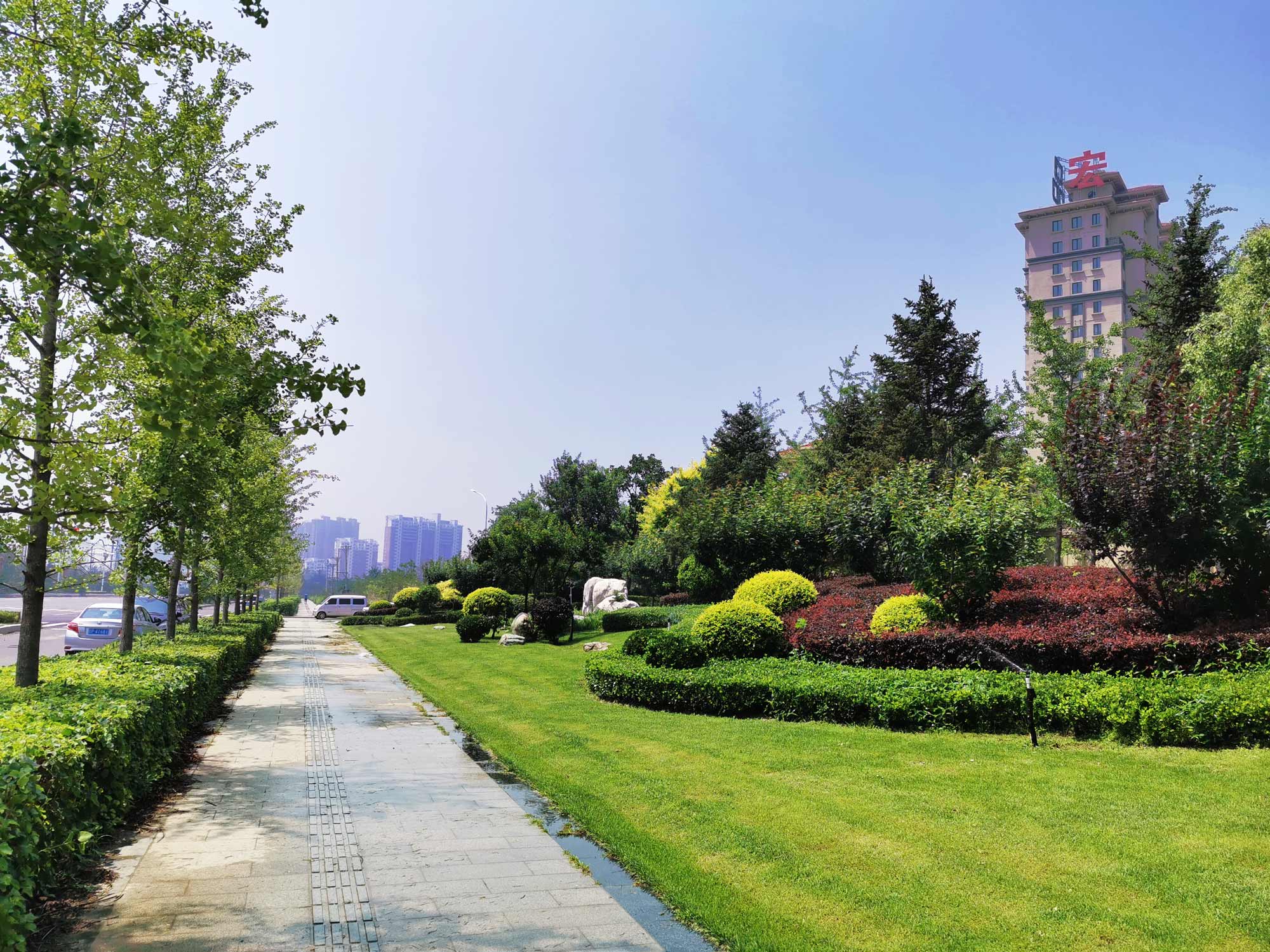兴城市龙兴路绿化设计景观工程
