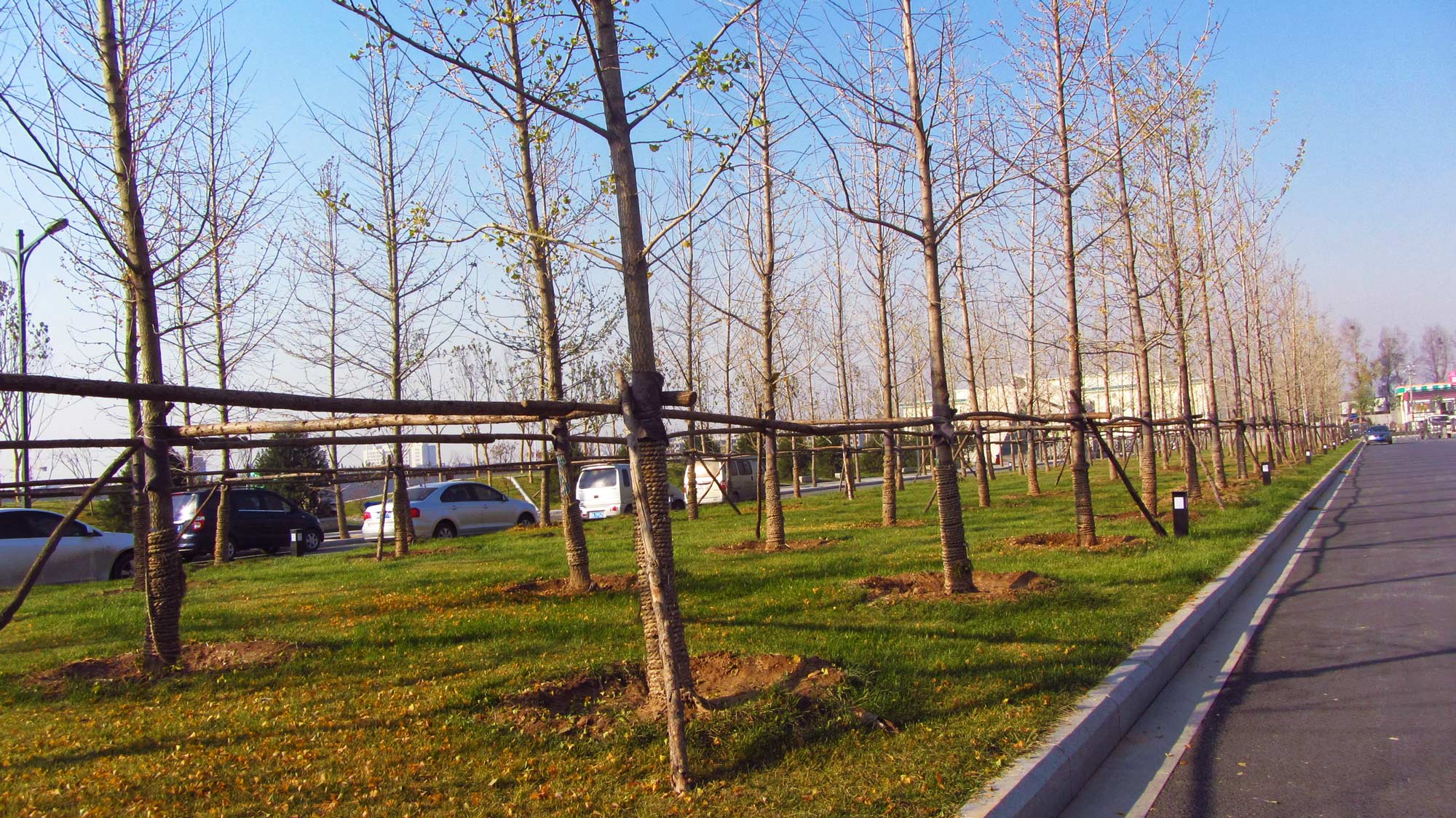 山西医科大学新校区景观设计