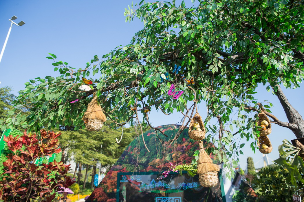 2018中国森林旅游节广东省展馆