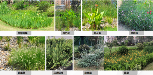 镇江中南世纪城 望江