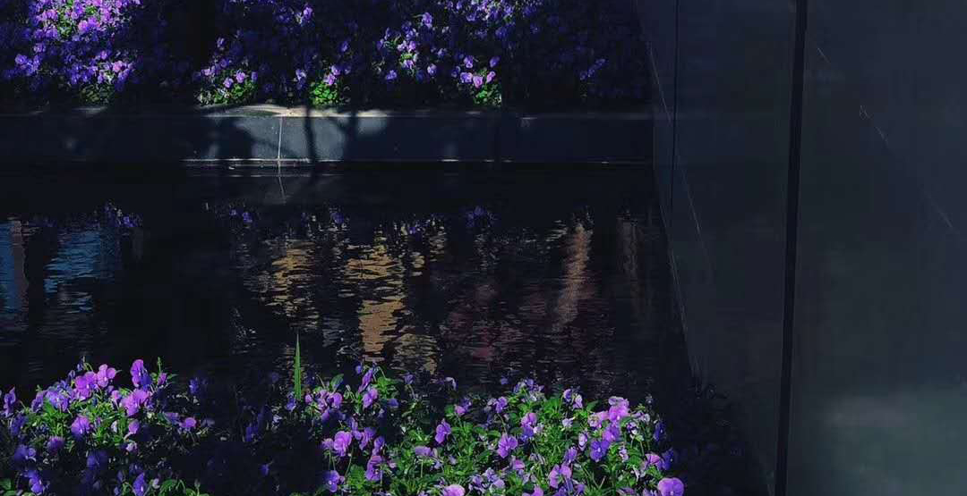 蓝调时光 / 理想海示范区景观