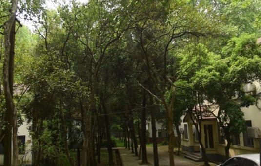 华中科技大学梧桐语问学中心