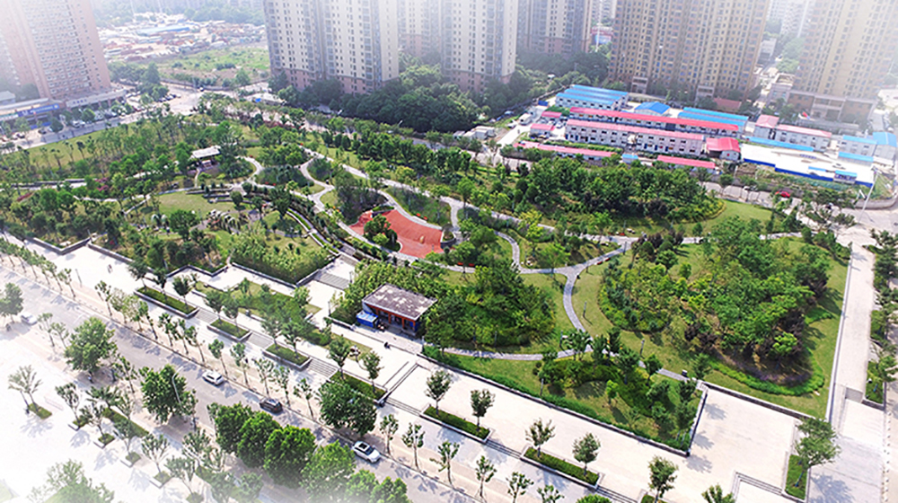 武汉市汉广小森林公园景观建设工程