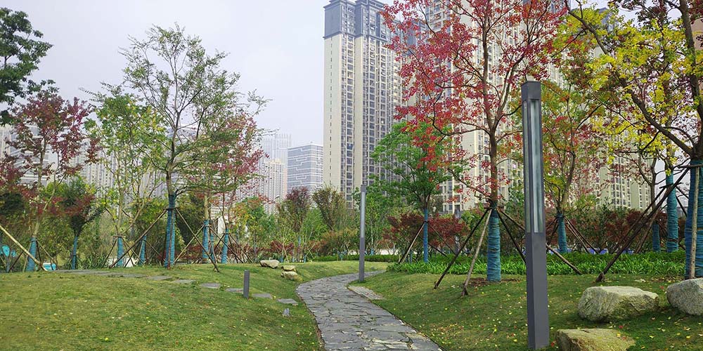 武汉市汉广小森林公园景观建设工程