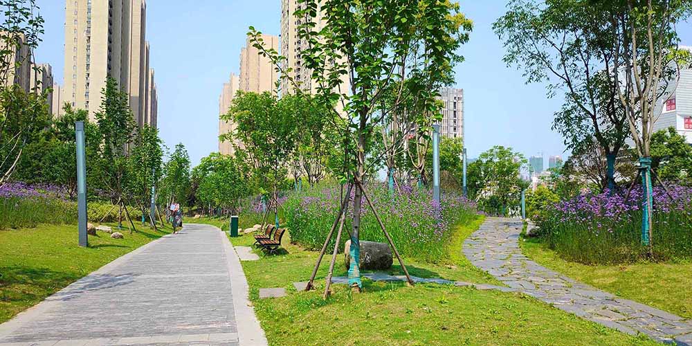 武汉市汉广小森林公园景观建设工程