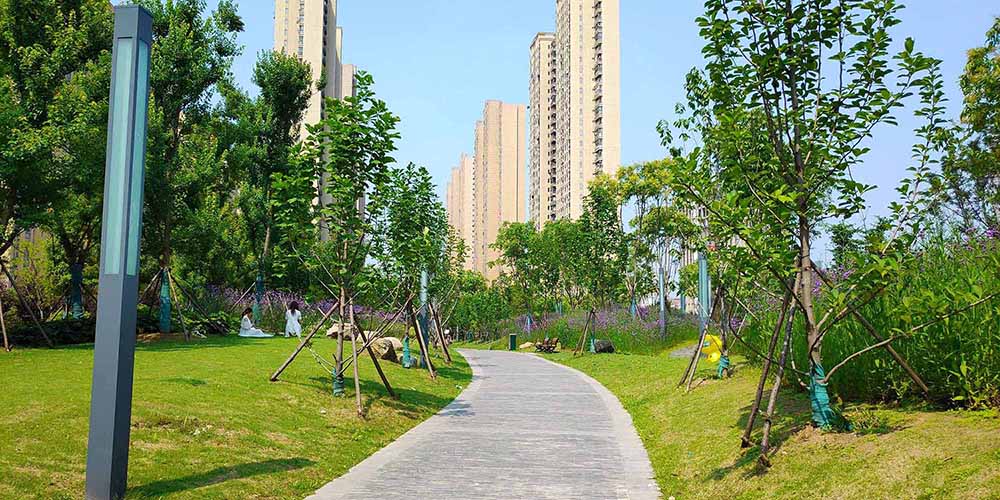 武汉市汉广小森林公园景观建设工程