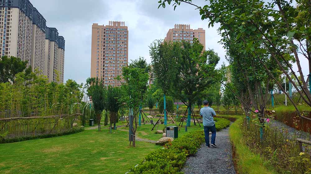 武汉市汉广小森林公园景观建设工程