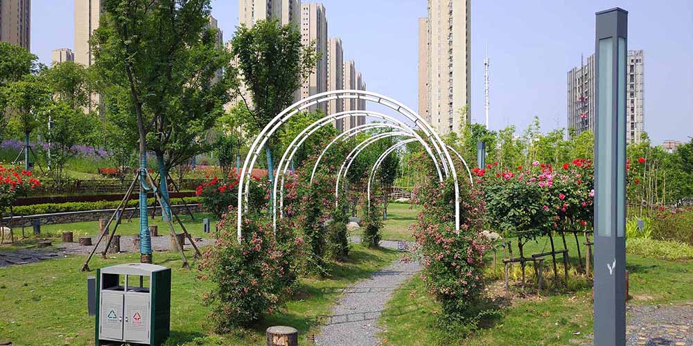 武汉市汉广小森林公园景观建设工程