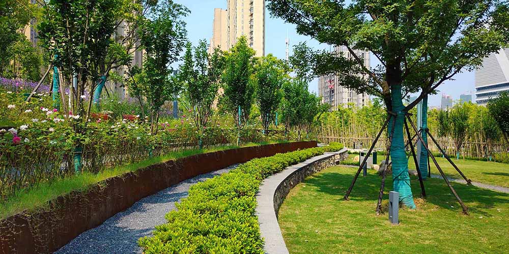 武汉市汉广小森林公园景观建设工程